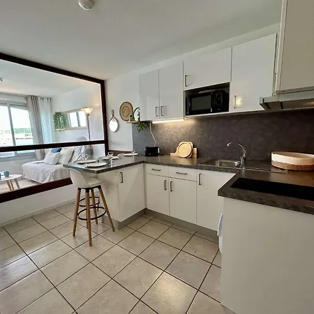 Apartment Appt 4 Couchages Ct320-h316 *
